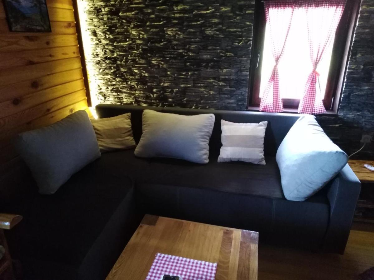 Brvnara Na Bregu Βίλα Bajina Basta Εξωτερικό φωτογραφία