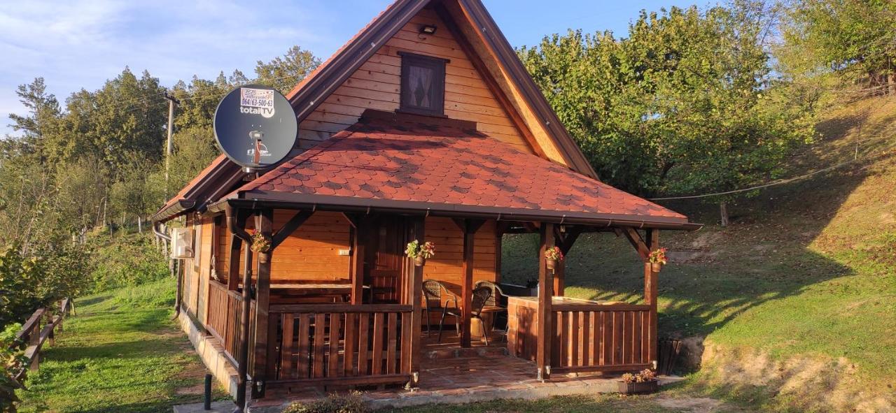 Brvnara Na Bregu Βίλα Bajina Basta Εξωτερικό φωτογραφία